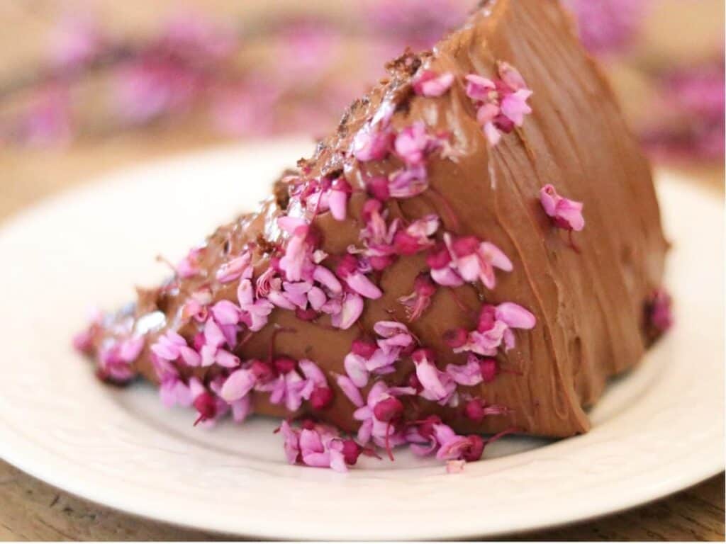 slice of redbud chocolate cake on a plate