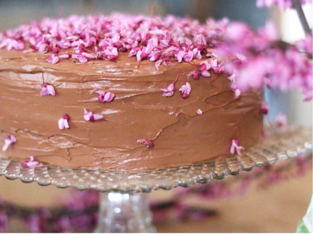 Chocolate cake with redbuds on a platter