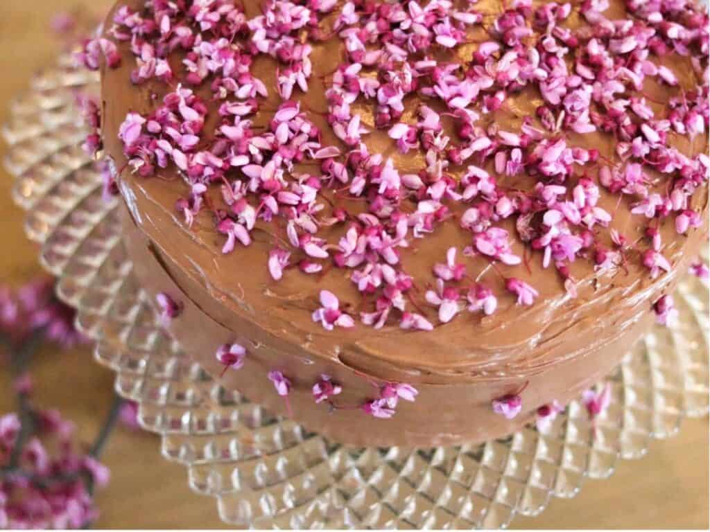 overhead pic of chocolate redbud cake