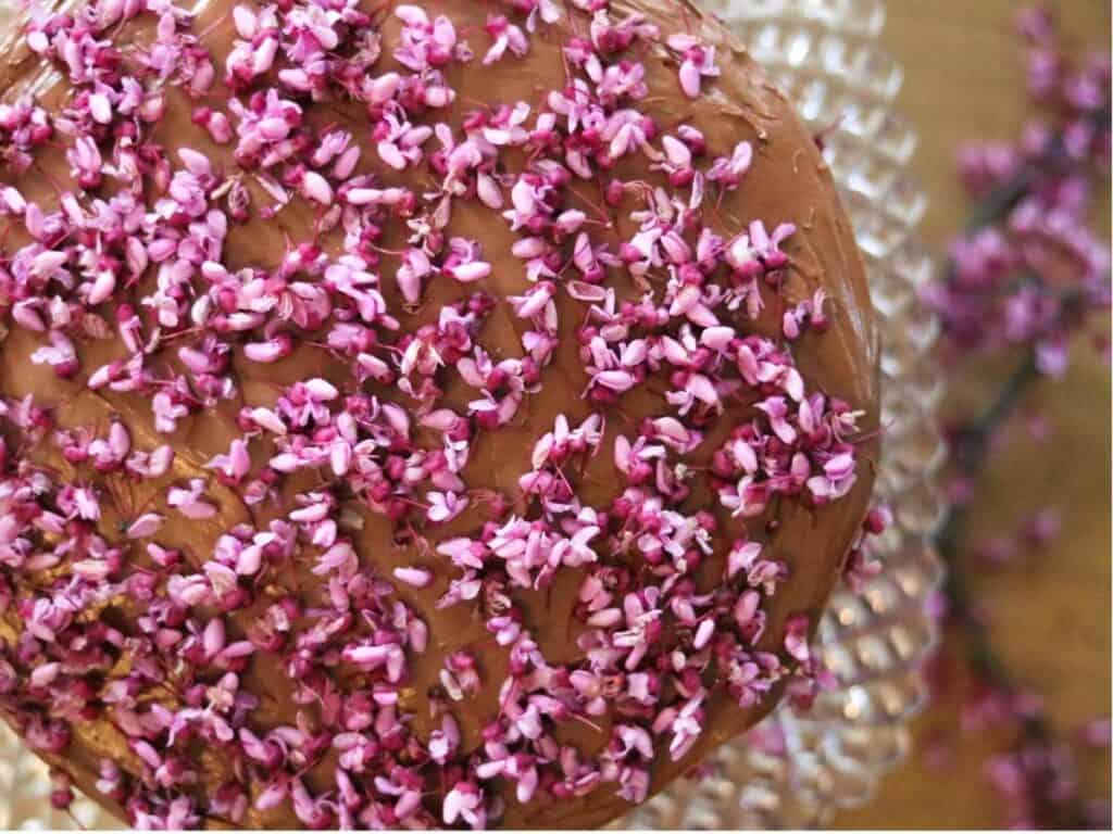 top of chocolate redbud cake