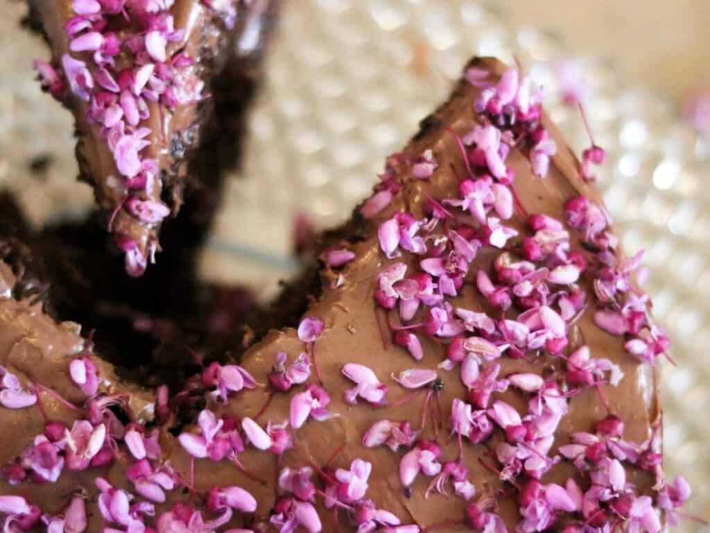 slice of redbud chocolate cake