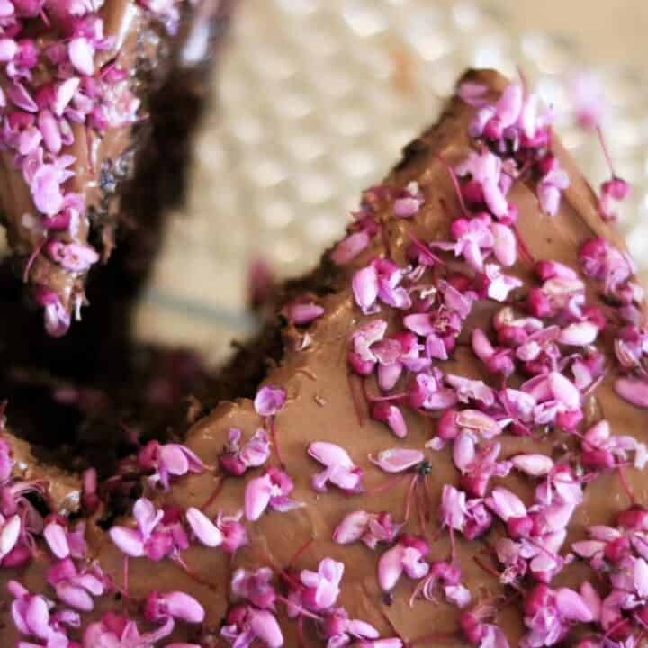 slice of redbud chocolate cake