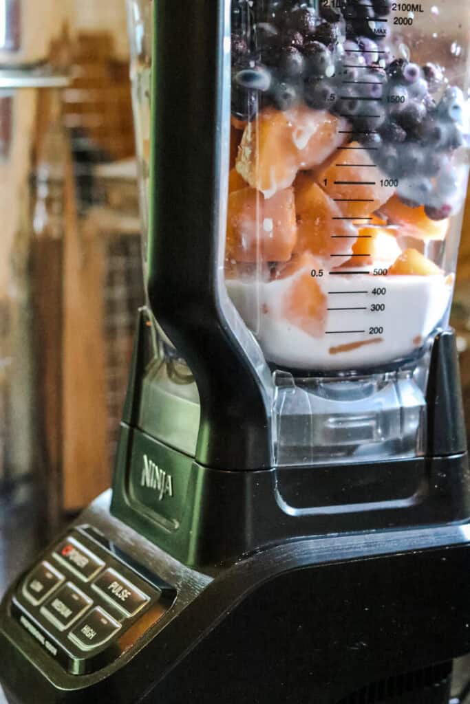 blender with milk, muskmelon, and blueberries