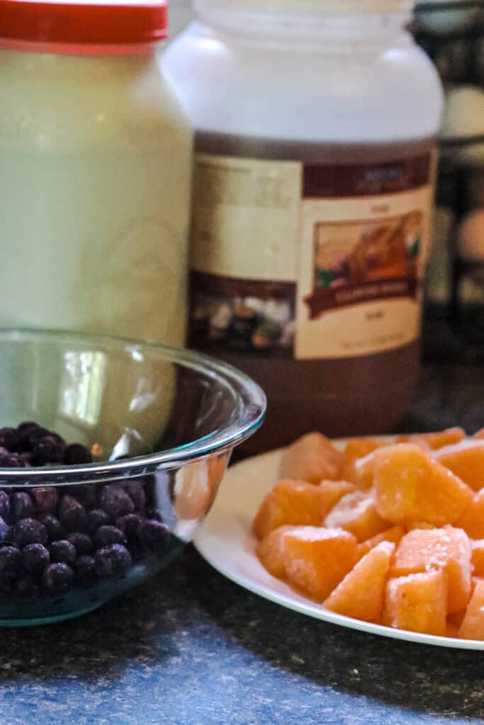 muskmelon and blueberries in a bowl with honey and milk on counter