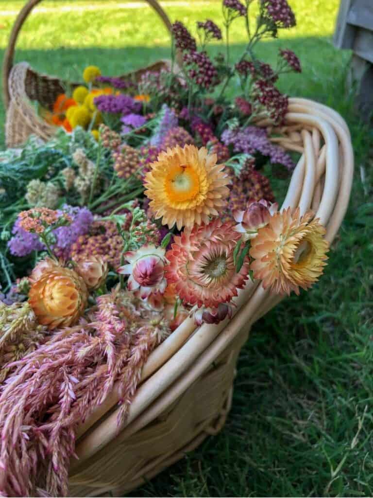 The Best Flowers To Grow For Drying 