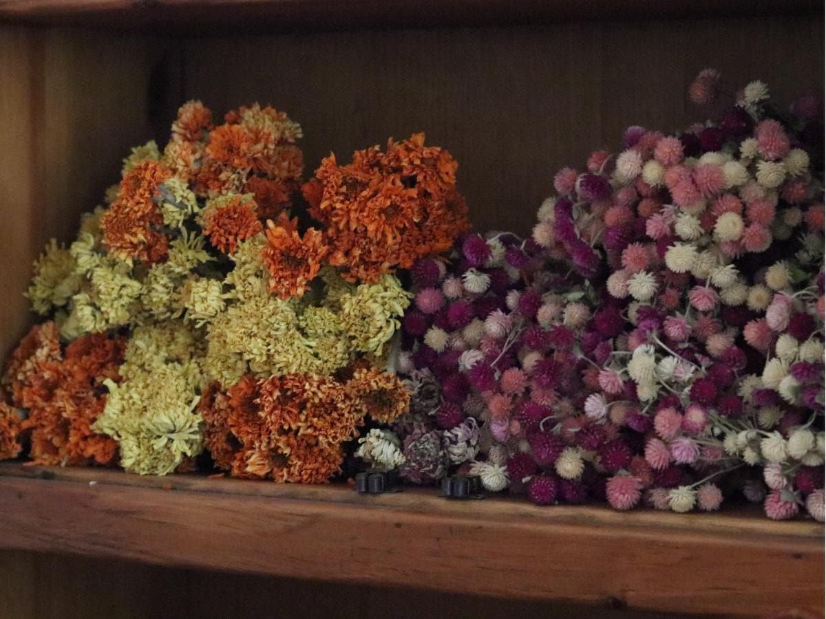 best flowers to grow for drying in a storage cabinet
