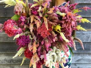 giant colorful bouquet of some of the best flowers to grow for drying