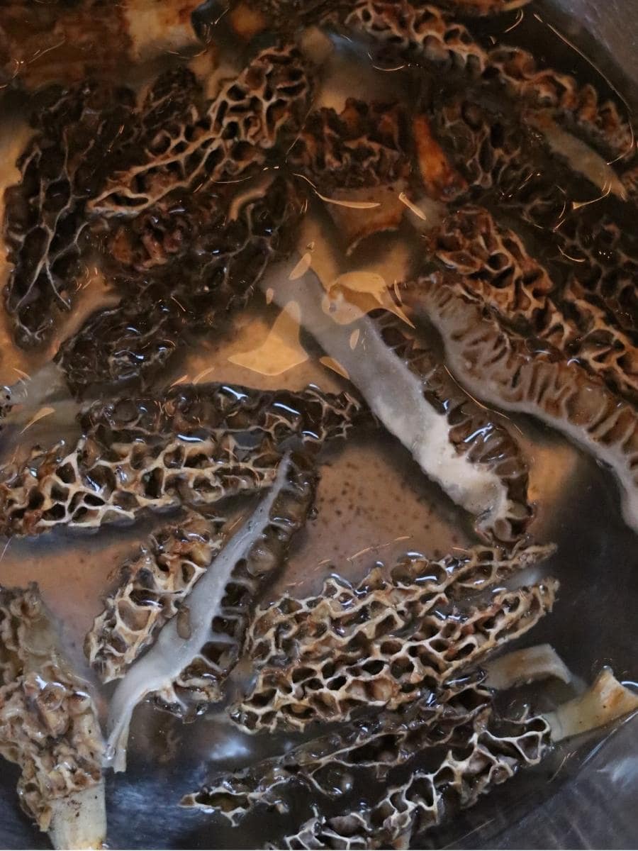 sliced morels soaking in a bowl of water