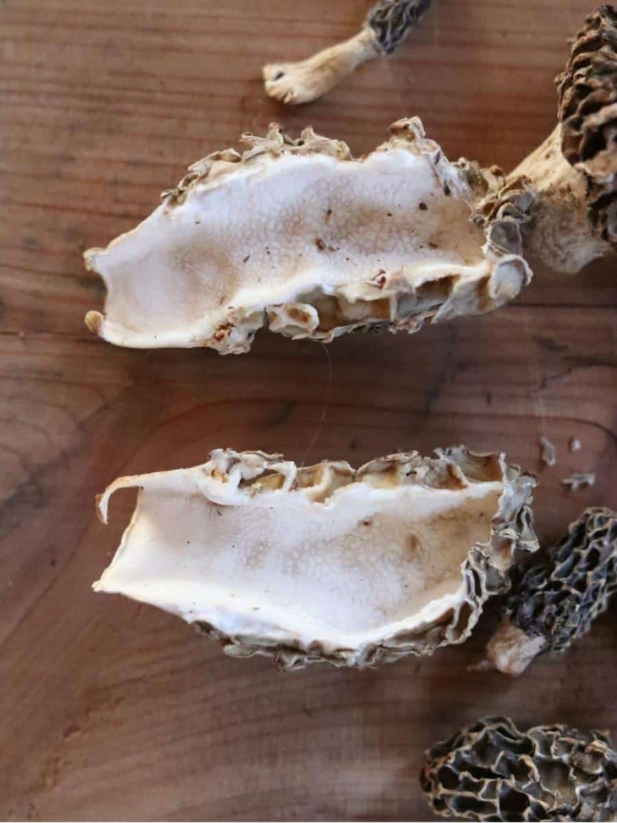 sliced morel with the hollow inside showing