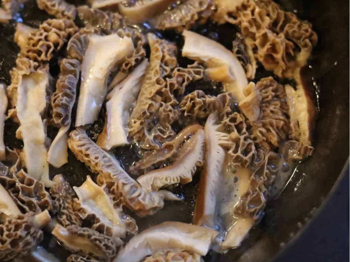 morels sautéing in a cast iron pan