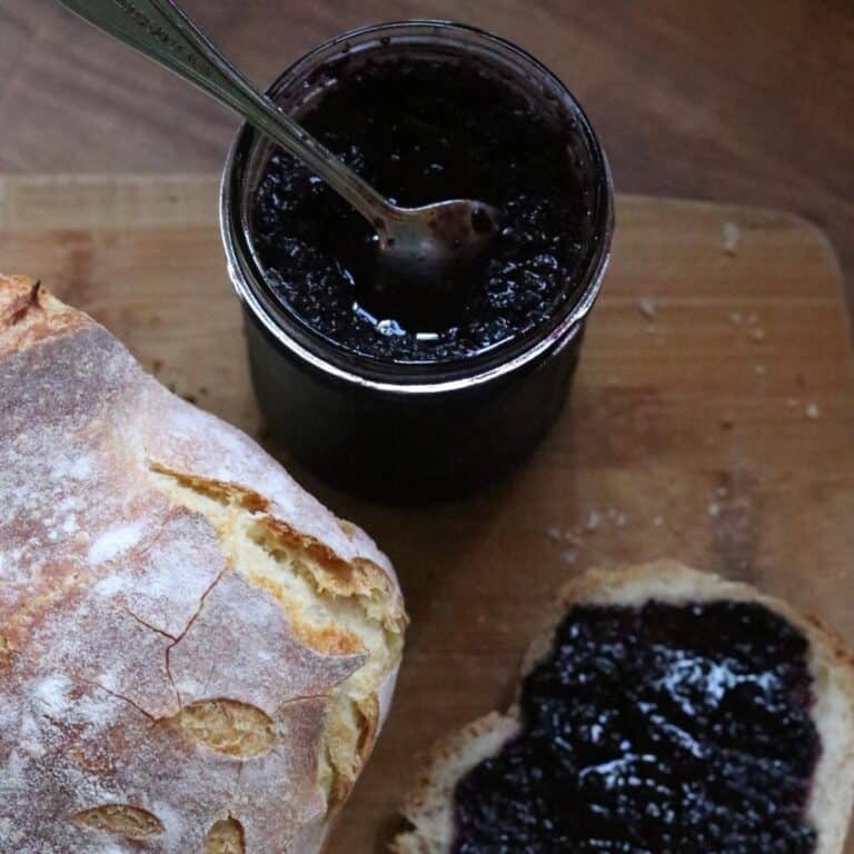 Easy Homemade Blueberry Jam Recipe (With Canning Instructions)