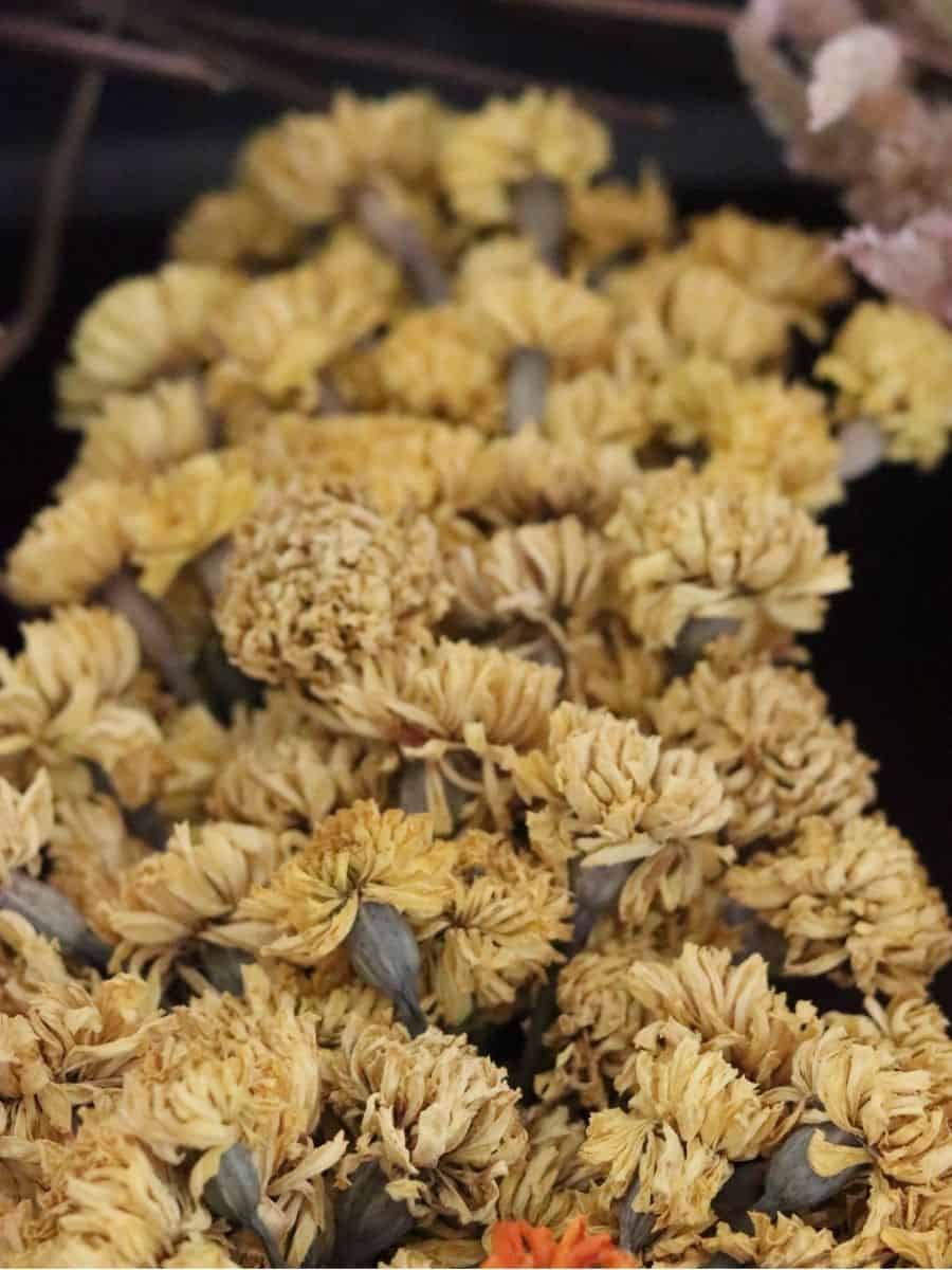 dried yellow marigolds