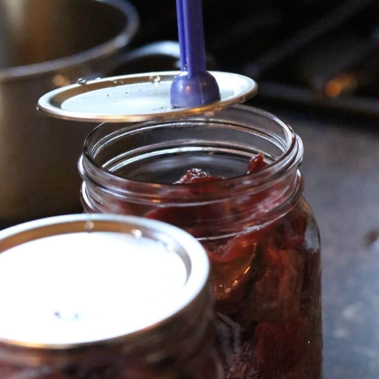 How to Can Venison in a Pressure Canner (Raw Pack Method)