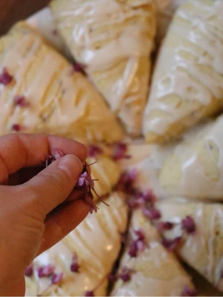 hand sprinkling redbuds on cooked scones