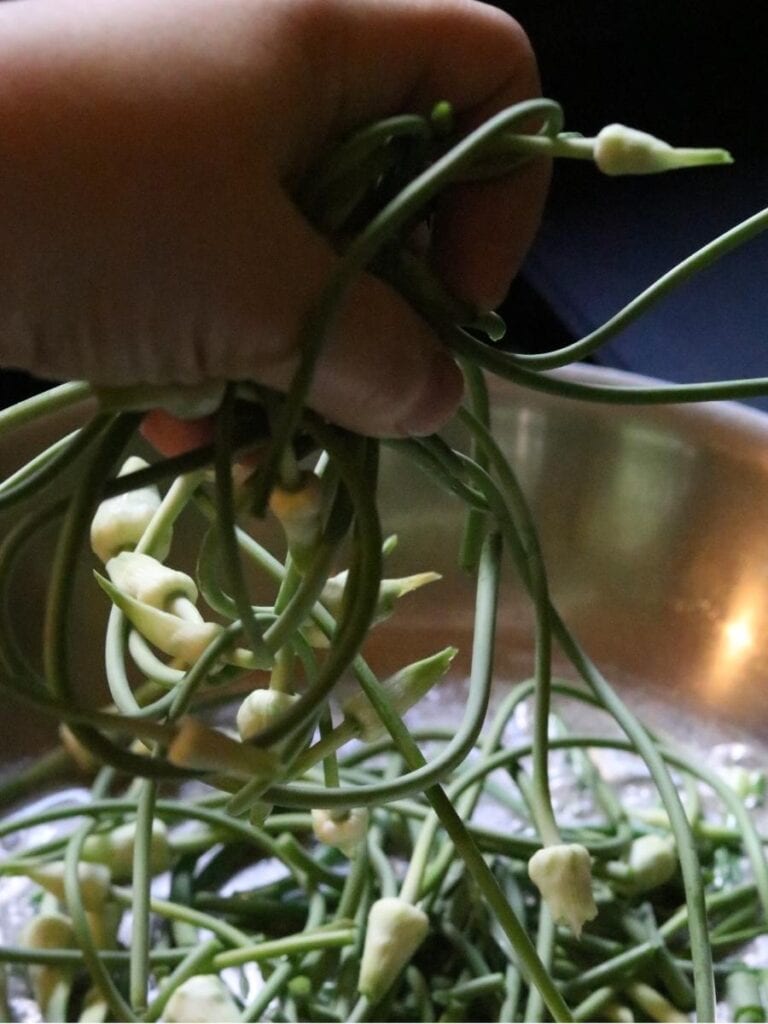 adding garlic scapes to a pan to sauté