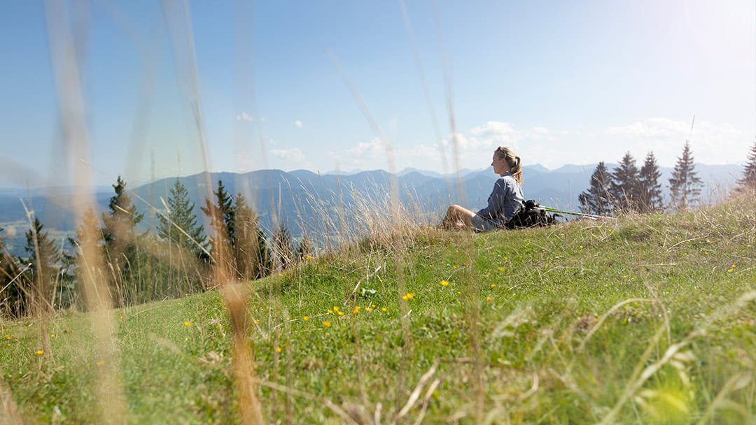 BT-Aussicht-auf-dem-Blomberg-1080 Eine Person sitzt auf einem grasbewachsenen Hügel und bietet unter einem klaren blauen Himmel einen Panoramablick auf die fernen Berge. Sie genießt den Sonnenschein, umgeben von Wildblumen und vereinzelten Bäumen.