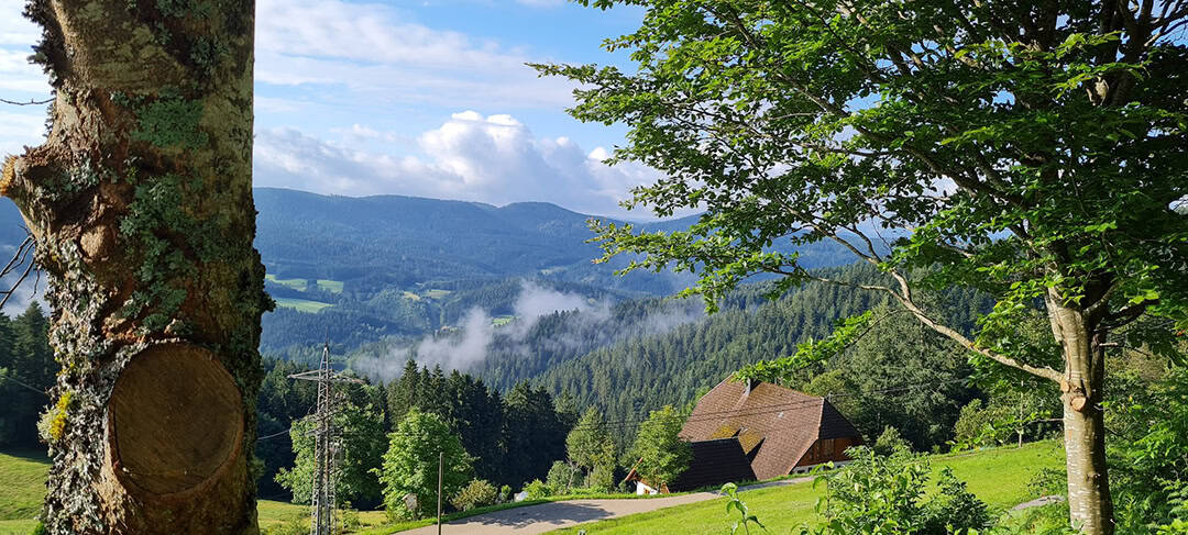 Blick-vom-Kupferberg_1080 Malerische Aussicht auf eine Berglandschaft mit einer Hütte, umgeben von üppigen grünen Bäumen und Feldern. Nebel steigt von den fernen Hügeln unter einem teilweise bewölkten blauen Himmel auf. Im Vordergrund ist ein großer Baumstamm zu sehen.