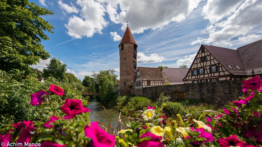 Weil-der-Stadt_Achim_Mende_1_1080 Eine malerische Szene mit einem mittelalterlichen Steinturm und traditionellen Fachwerkhäusern unter einem blauen Himmel mit Wolken. Leuchtend rosa und gelbe Blumen stehen im Vordergrund neben einem fließenden Fluss, umgeben von üppigem Grün.