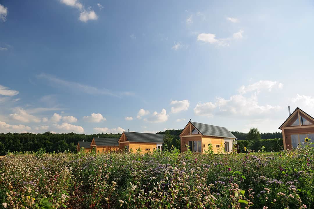 Hainichhoefe_Chalet_Siedlung_01_1080 Drei kleine Holzhütten mit grauen Dächern sind von üppigen Wildblumenfeldern unter einem klaren blauen Himmel umgeben. Ein dichter grüner Wald bildet die Kulisse, und flauschige weiße Wolken zieren den Himmel.