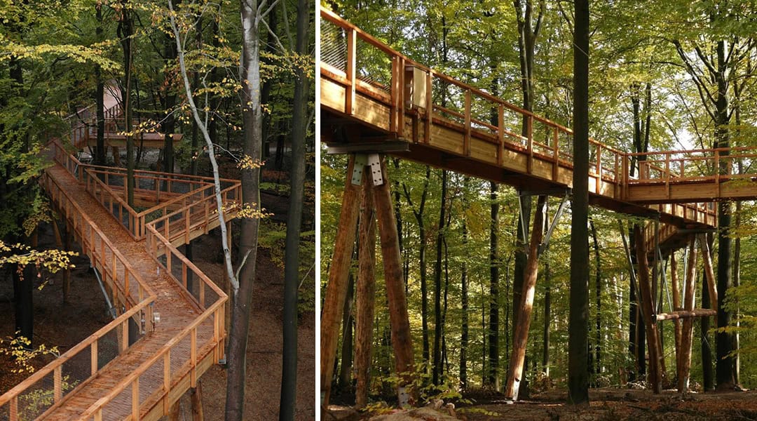 Erhöhte Holzwege in einem Wald mit Geländern und Freiflächen zwischen hohen Bäumen. Die Brücken werden von Holzbalken getragen und sorgen für ein intensives Wandererlebnis inmitten üppigen Grüns und natürlichem Licht.
