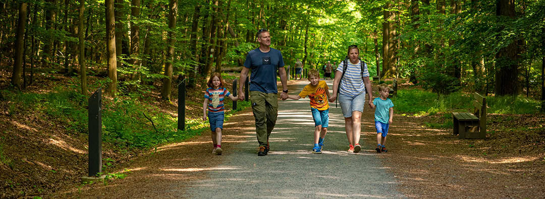 Eine fünfköpfige Familie geht einen Waldweg entlang. Die Eltern halten drei Kinder an den Händen. Der Weg ist von üppigen grünen Bäumen gesäumt und schafft eine friedliche, sonnige Atmosphäre.