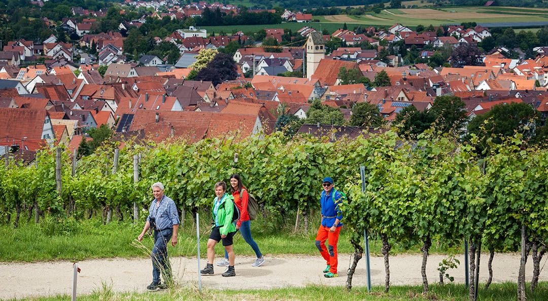 Wanderer_in_Weinbergen_hochgehfestigt_1080 Vier Personen wandern auf einem Weg durch einen Weinberg, umgeben von üppig grünen Weinreben. Im Hintergrund ist ein Ort mit zahlreichen rot gedeckten Häusern und einer Kirche zu sehen, eingebettet in eine malerische Landschaft.
