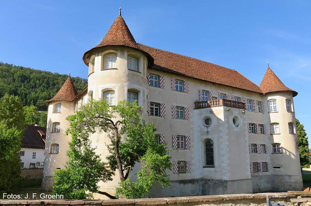 Schloss-Glatt_1080 Ein historisches Schloss mit runden Türmen und einem steilen, rotbraunen Ziegeldach ist von grünen Bäumen umgeben. Das Gebäude besticht durch weiße Wände und zahlreiche Fenster mit dekorativen Fensterläden. Im Hintergrund sind Hügel und blauer Himmel zu sehen.