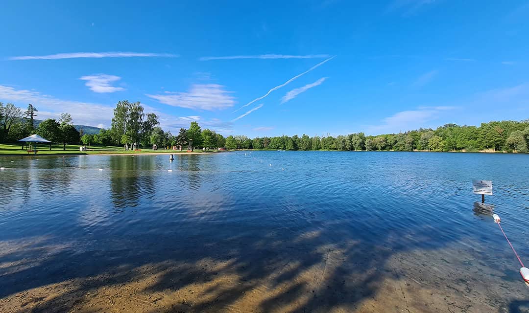 Ein ruhiger See unter klarem, blauem Himmel, umgeben von üppigen grünen Bäumen. Sanfte Wellen auf dem Wasser spiegeln das Grün und den Himmel wider. Ein paar dünne Wolken sind sichtbar, links ein grasbewachsenes Ufer und in der Ferne Bäume am Horizont.