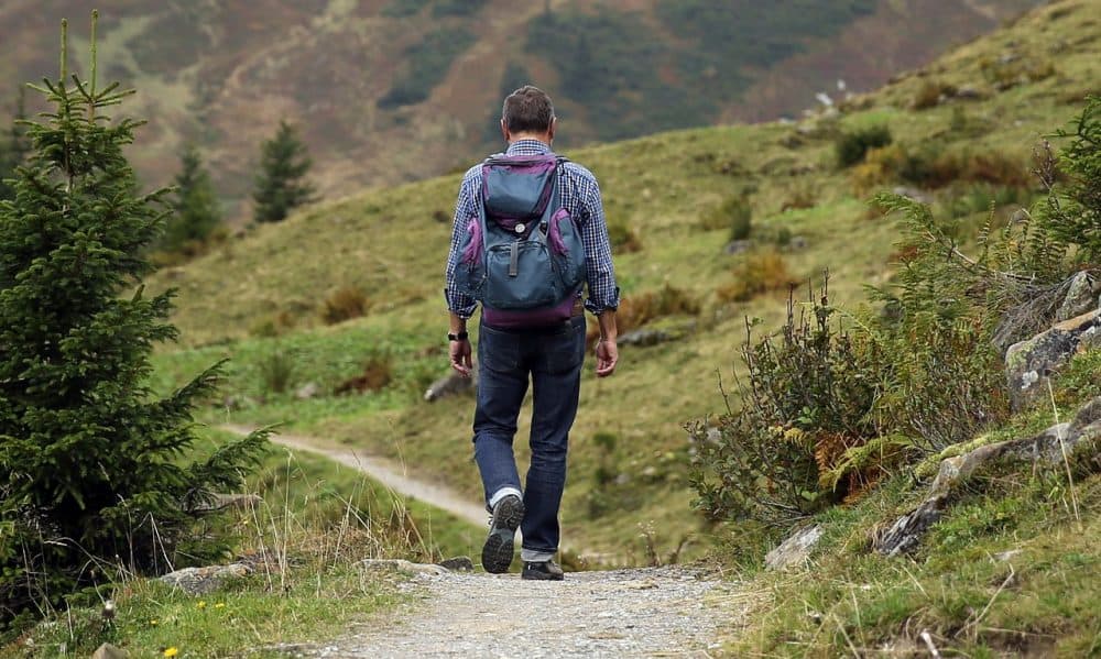 wanderer-455338_1280-3500828522 Eine Person mit Rucksack wandert einen Bergpfad entlang, umgeben von Grün und fernen Hügeln. Der Himmel ist klar und verspricht einen angenehmen Wandertag.