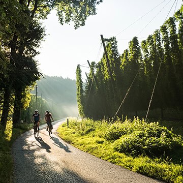 Hallertauer-Hopfentour-©Tourismus-Oberbayern-München,-Peter-von-Felbert_360