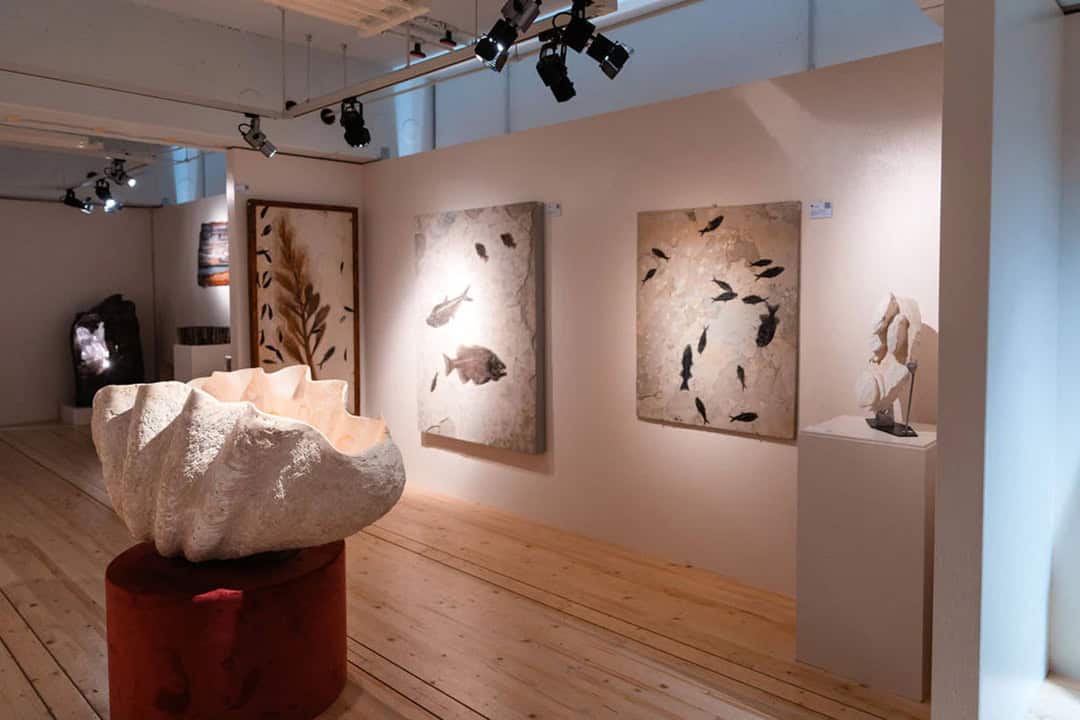 Galerie_1080 Eine Kunstgalerie mit einer großen muschelförmigen Skulptur auf einem roten Sockel. An den Wänden hängen Kunstwerke mit Fischen und organischen Mustern. Strahler beleuchten die Werke auf hellem Holzboden und schaffen so eine ruhige Atmosphäre.