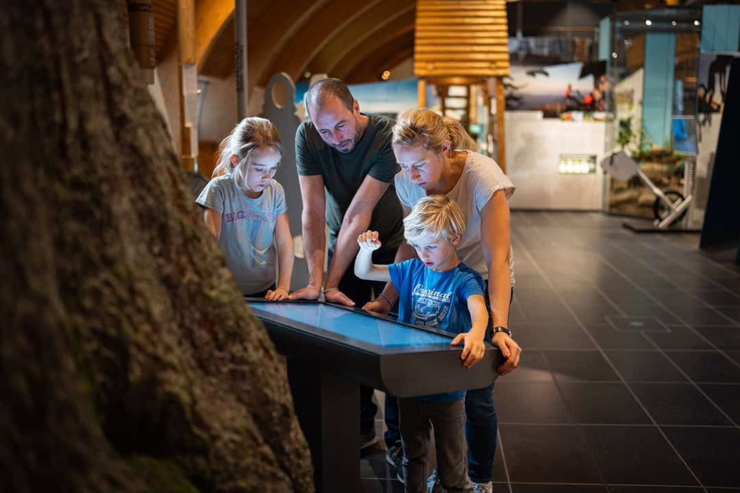 Haus-der-Natur-©Hochschwarzwald-Tourismus-GmbH-1080