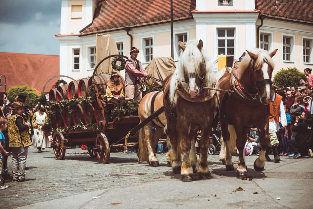 MAF_Arnstorf-(4)_1080 Bei einem festlichen Umzug ziehen zwei große Pferde eine mit Fässern und Grünpflanzen geschmückte Kutsche. Eine Person in historischem Kostüm sitzt vorne und lenkt die Pferde. Zuschauer säumen die Straße und verfolgen den Umzug in der historischen Stadtkulisse.