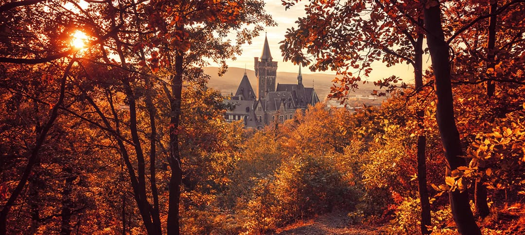 Schloss-Wernigerode-1080 Eine Herbstlandschaft mit leuchtend orangefarbenen und roten Blättern, die einen alten, hohen Turm im Hintergrund umrahmen. Die Sonne scheint teilweise durch die Bäume und taucht die Landschaft in einen warmen Schein. Im Hintergrund ist ein Berg in der Ferne zu sehen.