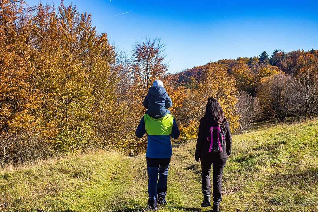 Familienwandern_2618_1080 Eine Familie geht auf einem Grasweg durch einen Wald mit leuchtendem Herbstlaub. Ein Erwachsener trägt ein Kind auf den Schultern, ein weiterer Erwachsener geht mit einem rosa Rucksack neben ihnen her. Über ihnen thront ein strahlend blauer Himmel.