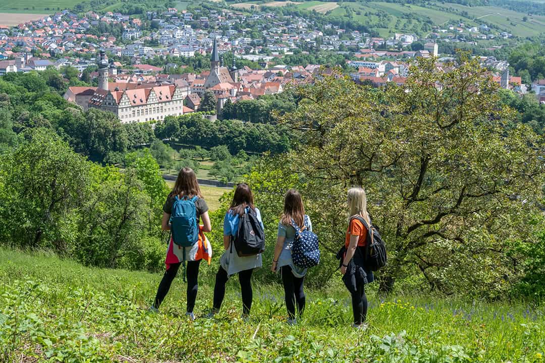 GZ7_0468_1080 Vier Menschen mit Rucksäcken stehen auf einem grasbewachsenen Hügel und blicken auf eine malerische Stadt mit Gebäuden mit roten Dächern und grünen Hügeln im Hintergrund.