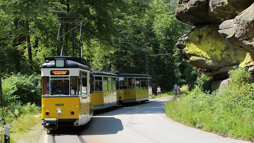 Eine gelbe Straßenbahn fährt auf einem gewundenen Weg, umgeben von üppigem Grün und felsigen Klippen. Die Straßenbahn trägt die Aufschrift „Lichtenhainer Wasserfall“ und befördert Passagiere, die die malerische Strecke genießen. Helles Sonnenlicht unterstreicht die lebendige Naturkulisse.