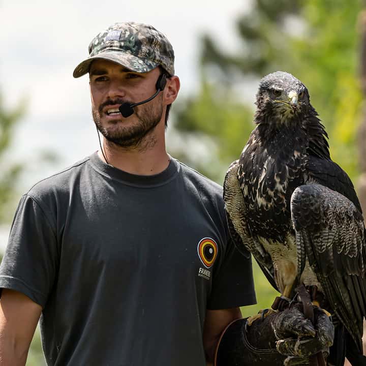 Ein Mann mit Tarnkappe und Headset steht im Freien und hält einen großen Raubvogel, möglicherweise einen jungen Adler oder Falken, in seiner behandschuhten Hand. Bäume und Grünflächen sind im Hintergrund verschwommen.
