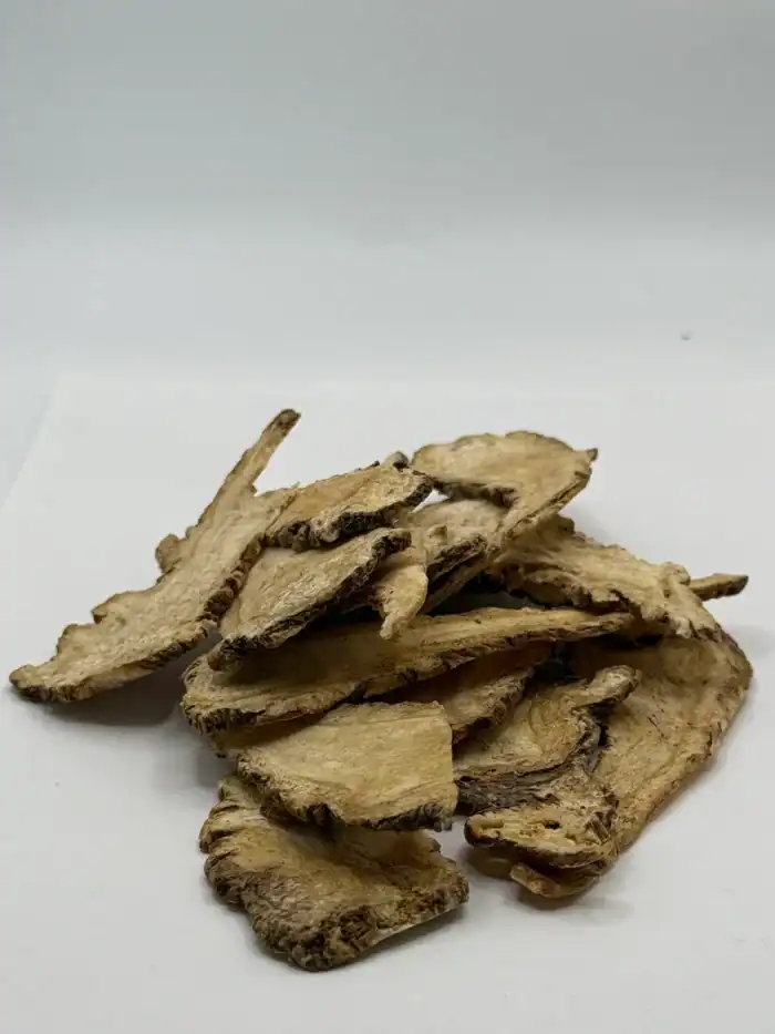 Dried Angelica Root (Dong Quai) | Botanical – Herbanial