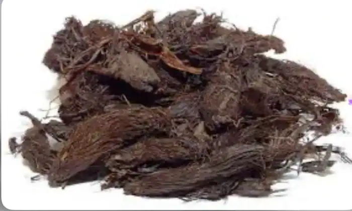 Valerian Root | Premium Dried Botanical Root for Natural