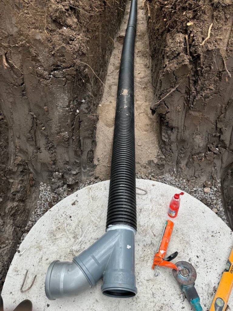 photo_2025-03-10_14-53-39