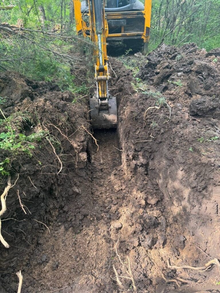 photo_2025-03-10_14-54-19