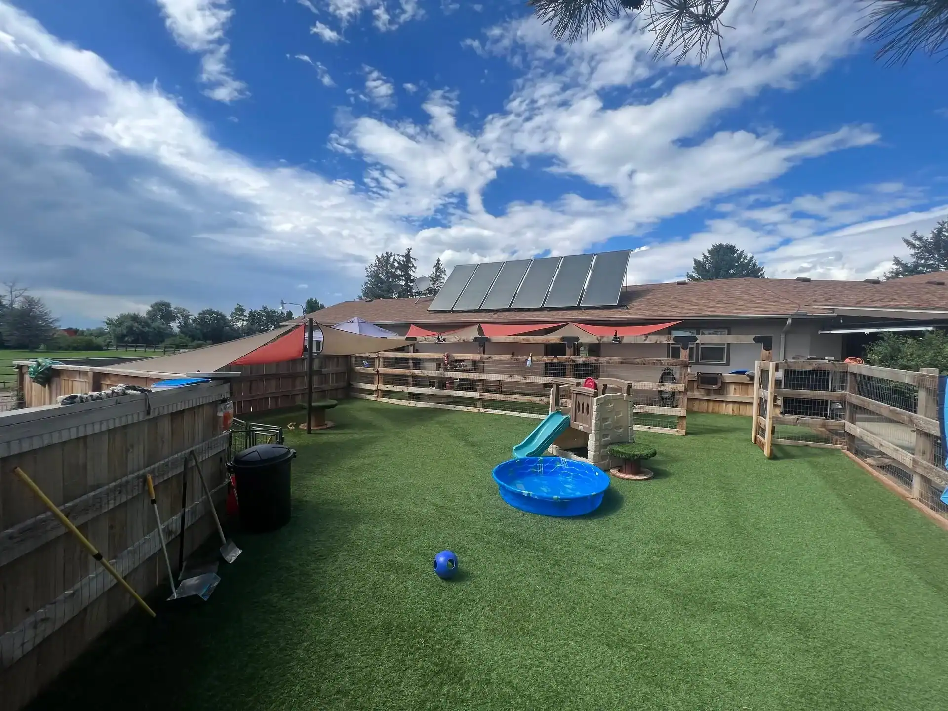 Bright, spacious dog training backyard with artificial grass, dog agility equipment, and secure fencing, perfect for service and therapy dog training at High Plains K-9 Connections.