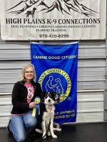 Canine good citizen certification training for obedient and well-behaved dogs.