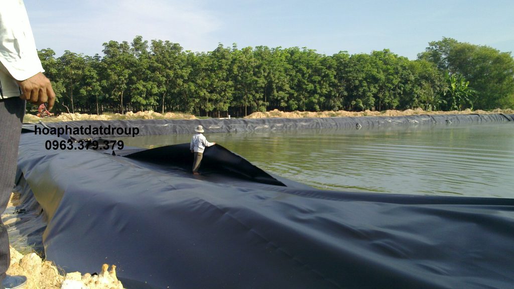 Bạt chống thấm HDPE lót ao hồ Hòa Phát Đạt