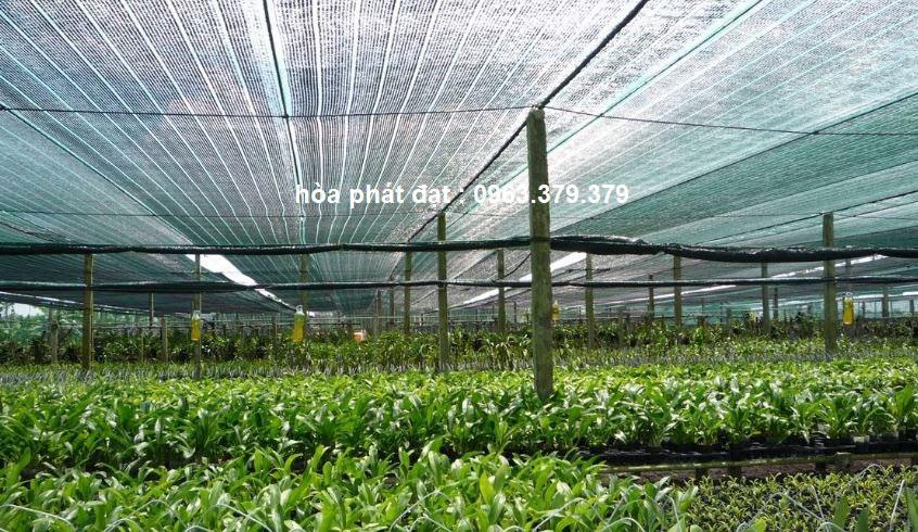 H&ograve;a Ph&aacute;t Đạt Group