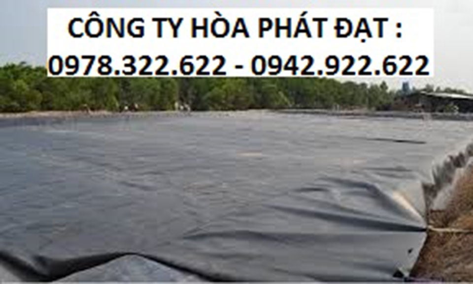 Bạt lót hồ tôm