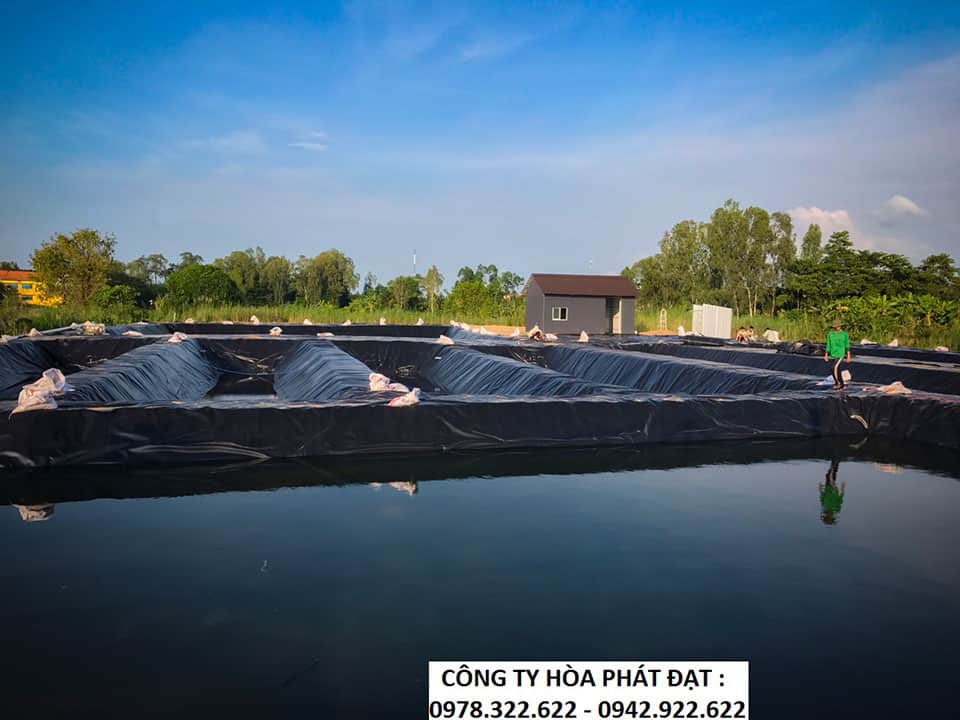 Bạt lót hồ tôm