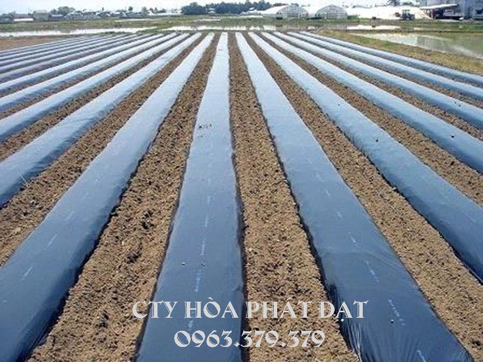 cuộn-bạt-nilong-màu-đen-phủ-đất-trồng-cây