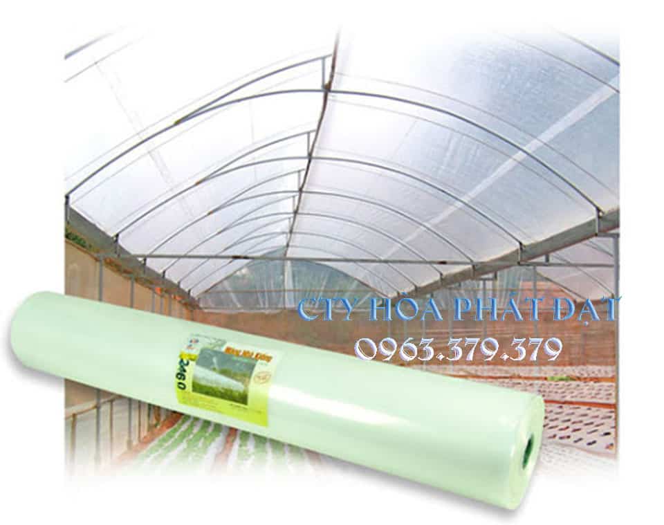 Màng nông nghiệp pe Hòa Phát Đạt